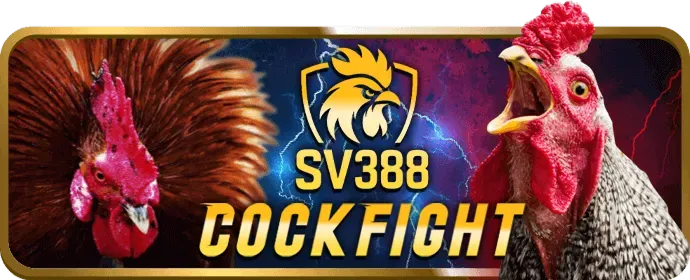 Hình ảnh minh họa cá cược có trách nhiệm tại bon68 game