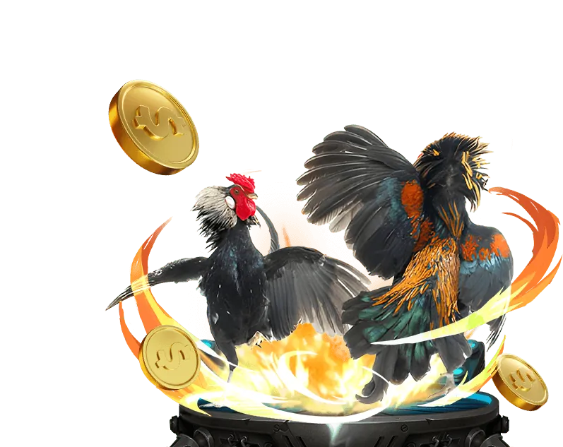 Đa dạng kèo cược đá gà tại bon68 game
